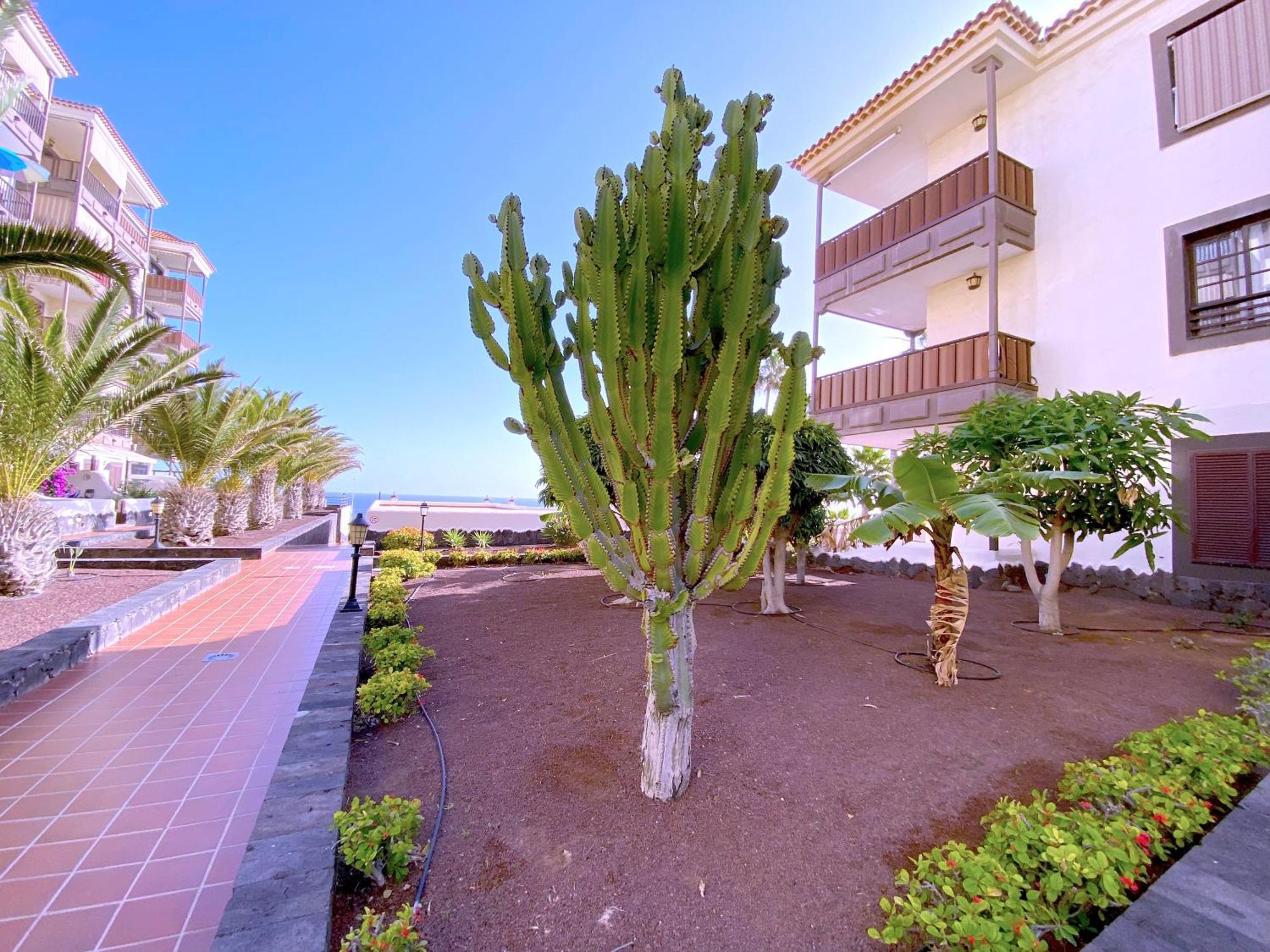 Tropicalidays Costa Mar Apartment Costa Del Silencio